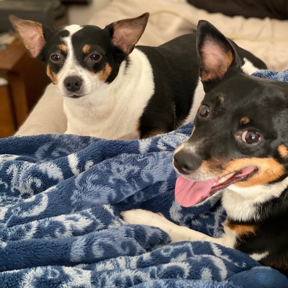 Meet your Posher, Pamela - Picture 12 of 16